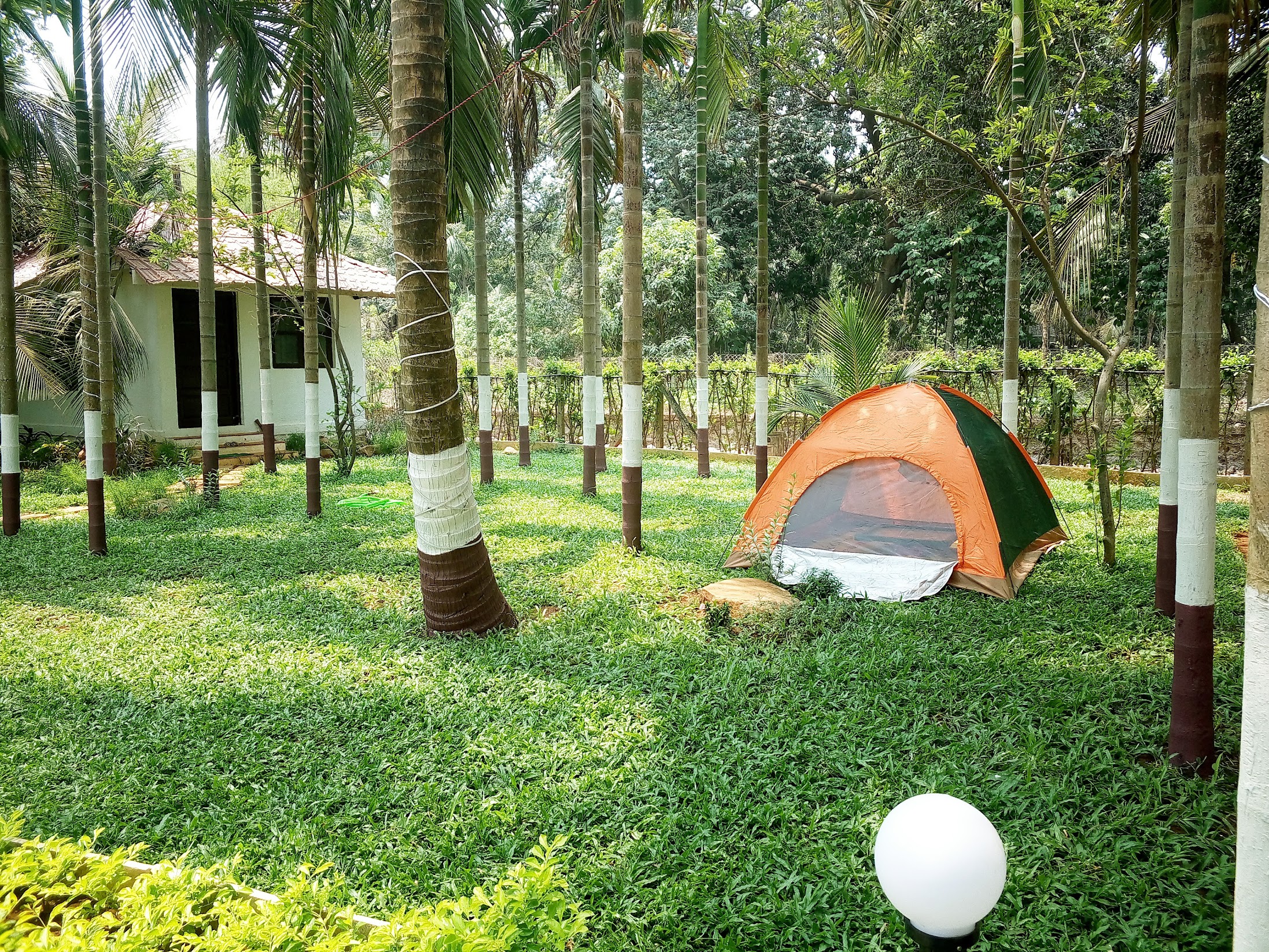 Bliss Villa 3