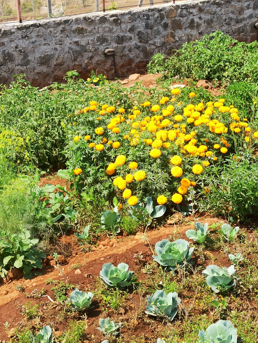 Khopoli Villa 12